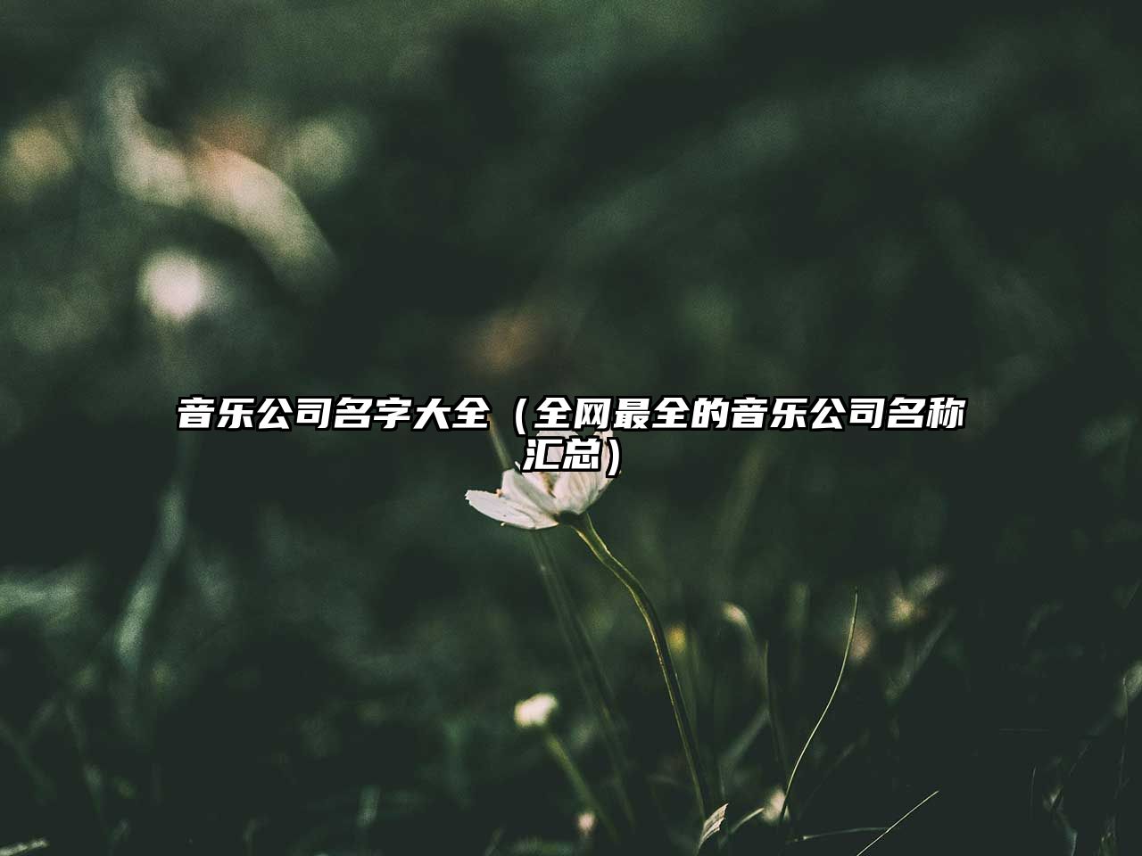 音乐公司名字大全（全网最全的音乐公司名称汇总）