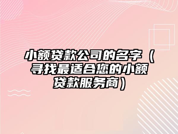 小额贷款公司的名字（寻找最适合您的小额贷款服务商）