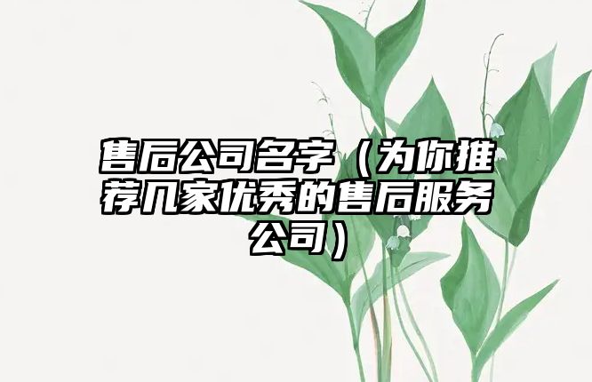 售后公司名字（为你推荐几家优秀的售后服务公司）