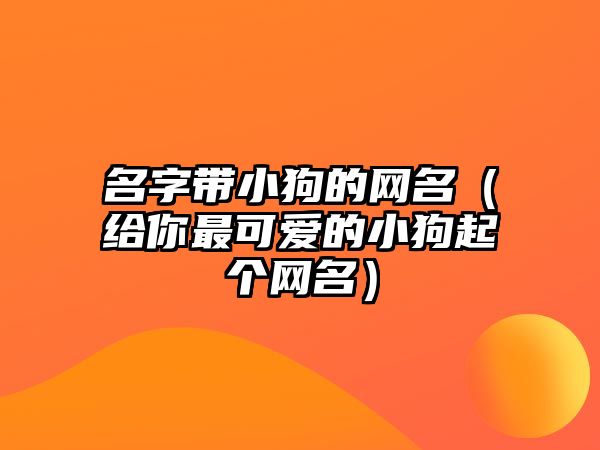 名字带小狗的网名（给你最可爱的小狗起个网名）