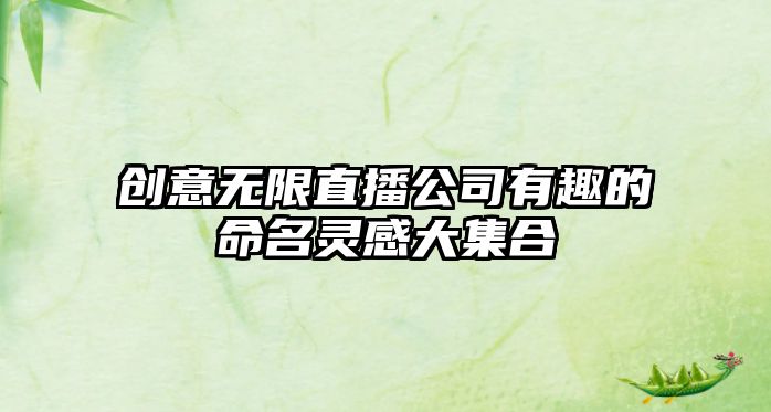 创意无限直播公司有趣的命名灵感大集合