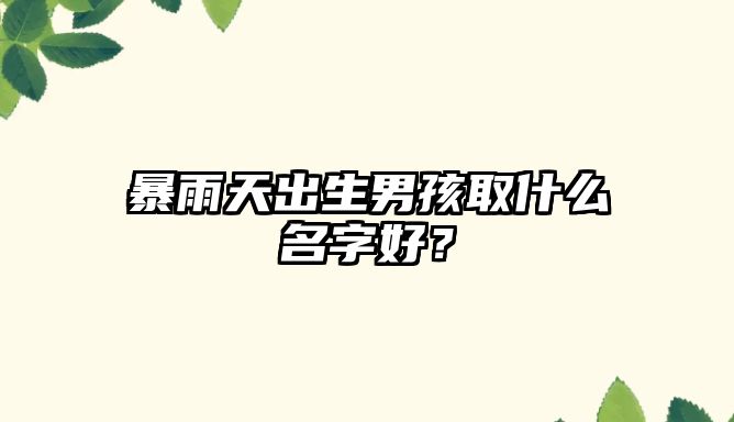 暴雨天出生男孩取什么名字好？