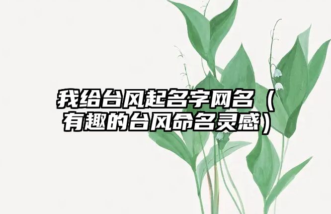 我给台风起名字网名（有趣的台风命名灵感）