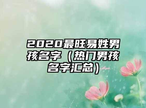 2020最旺易姓男孩名字（热门男孩名字汇总）