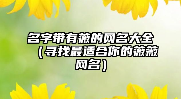 名字带有薇的网名大全（寻找最适合你的薇薇网名）