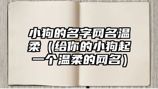 小狗的名字网名温柔（给你的小狗起一个温柔的网名）