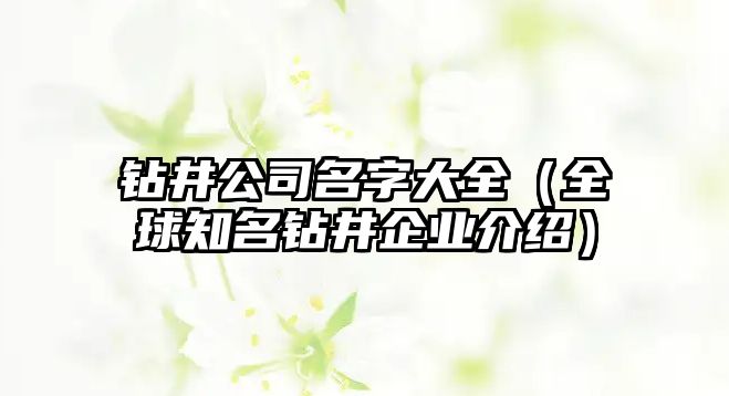 钻井公司名字大全（全球知名钻井企业介绍）
