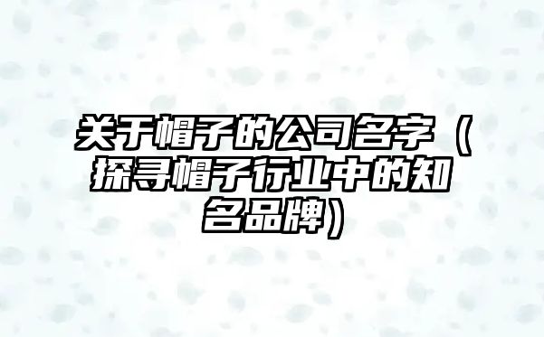 关于帽子的公司名字（探寻帽子行业中的知名品牌）