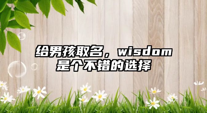 给男孩取名，wisdom是个不错的选择