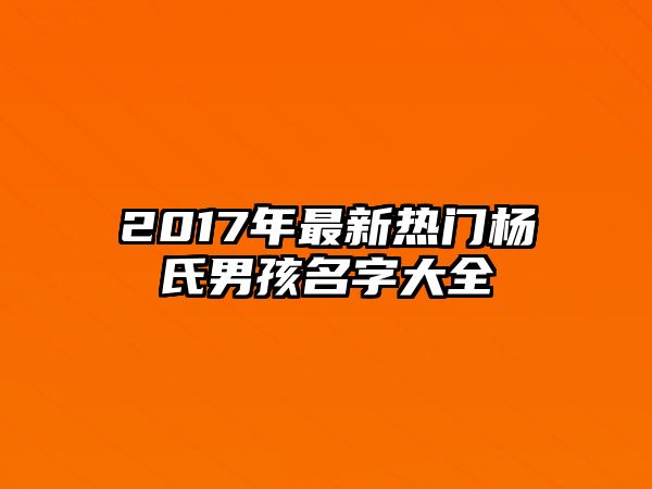 2017年最新热门杨氏男孩名字大全