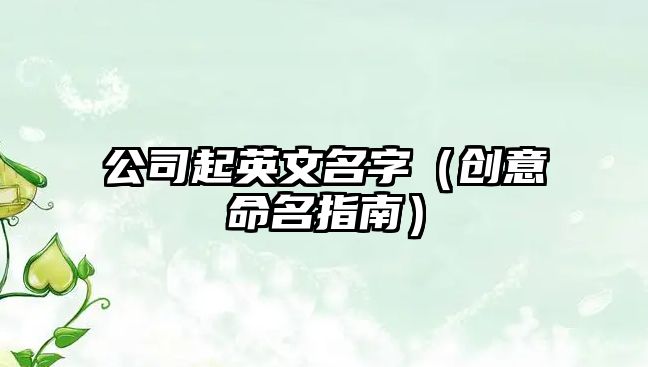 公司起英文名字（创意命名指南）