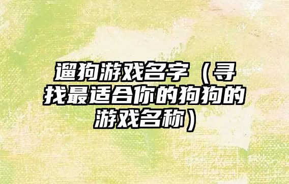 遛狗游戏名字（寻找最适合你的狗狗的游戏名称）