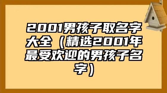 2001男孩子取名字大全（精选2001年最受欢迎的男孩子名字）