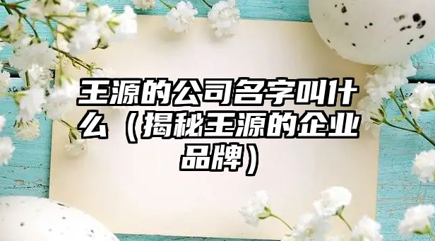 王源的公司名字叫什么（揭秘王源的企业品牌）