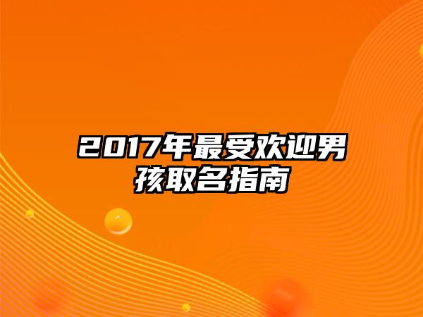 2017年最受欢迎男孩取名指南