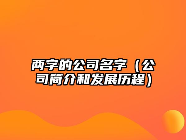 两字的公司名字（公司简介和发展历程）