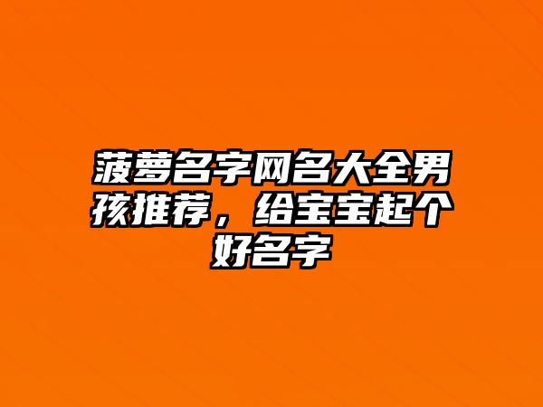 菠萝名字网名大全男孩推荐，给宝宝起个好名字