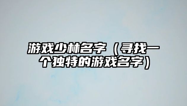 游戏少林名字（寻找一个独特的游戏名字）