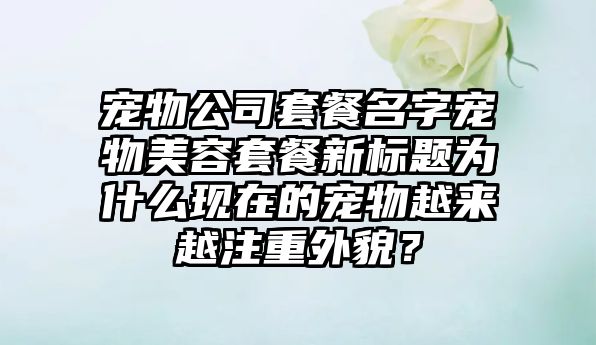 宠物公司套餐名字宠物美容套餐新标题为什么现在的宠物越来越注重外貌？