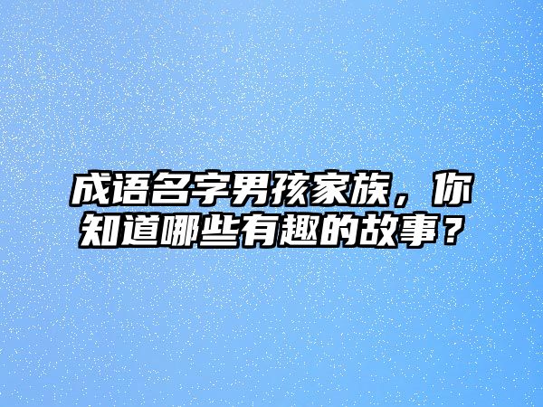 成语名字男孩家族，你知道哪些有趣的故事？