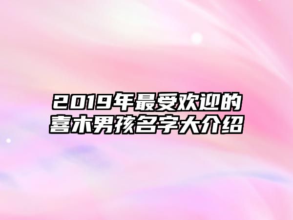 2019年最受欢迎的喜木男孩名字大介绍