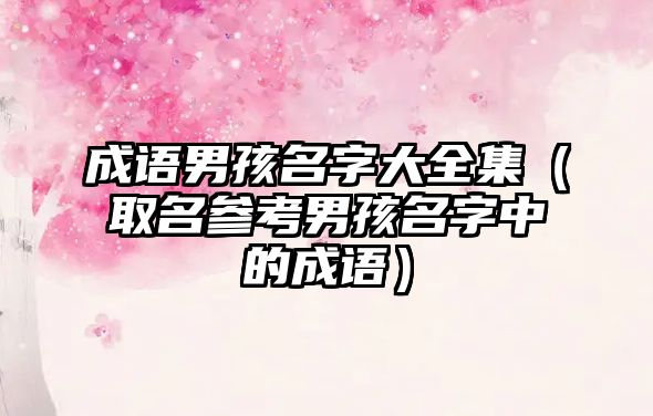 成语男孩名字大全集（取名参考男孩名字中的成语）