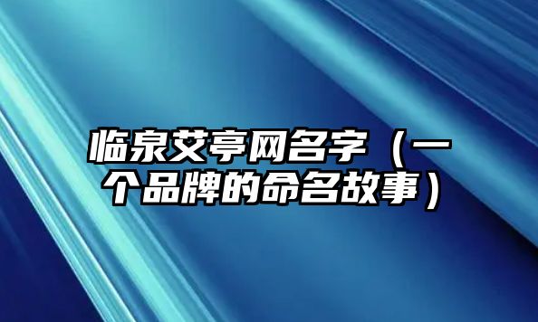 临泉艾亭网名字（一个品牌的命名故事）