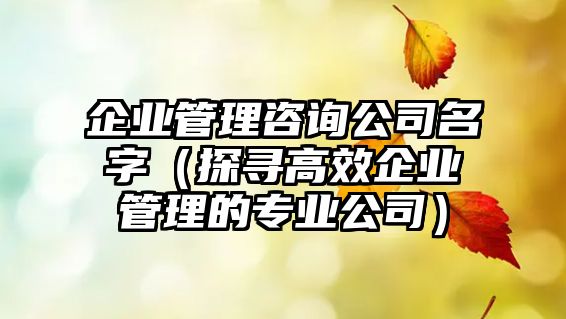 企业管理咨询公司名字（探寻高效企业管理的专业公司）