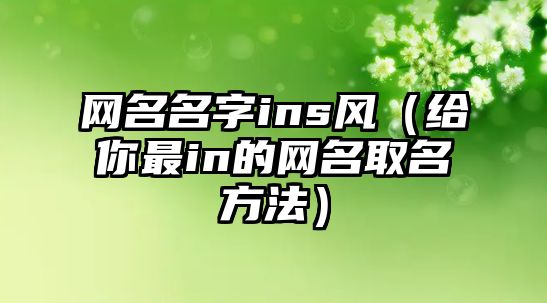 网名名字ins风（给你最in的网名取名方法）