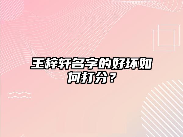 王梓轩名字的好坏如何打分？
