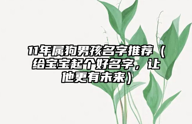 11年属狗男孩名字推荐（给宝宝起个好名字，让他更有未来）