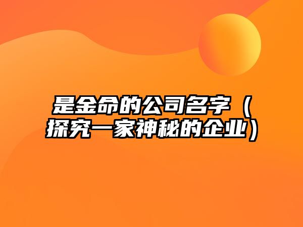 是金命的公司名字（探究一家神秘的企业）
