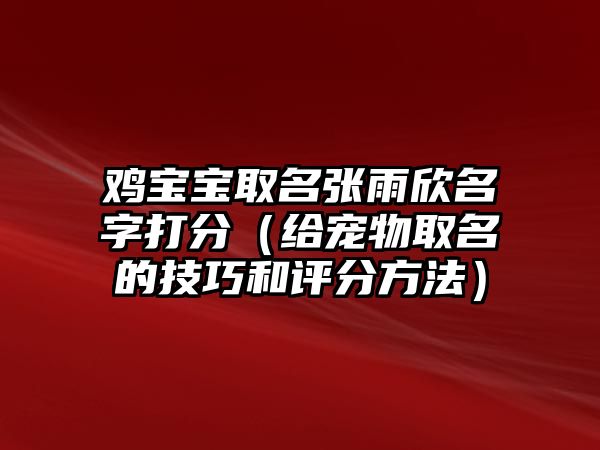 鸡宝宝取名张雨欣名字打分（给宠物取名的技巧和评分方法）