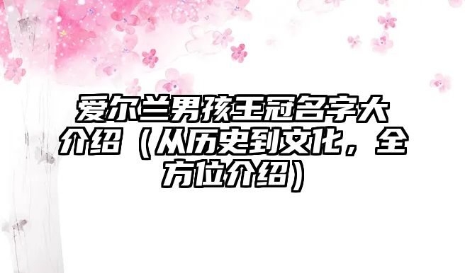 爱尔兰男孩王冠名字大介绍（从历史到文化，全方位介绍）