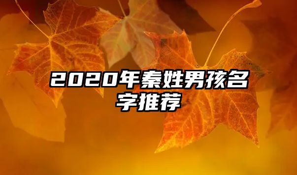 2020年秦姓男孩名字推荐