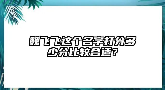 魏飞飞这个名字打分多少分比较合适？