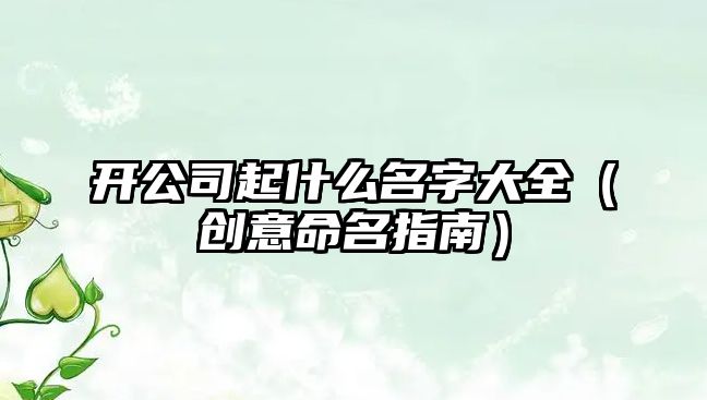 开公司起什么名字大全（创意命名指南）