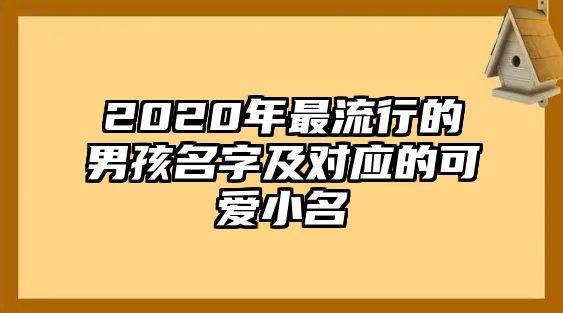 2020年最流行的男孩名字及对应的可爱小名