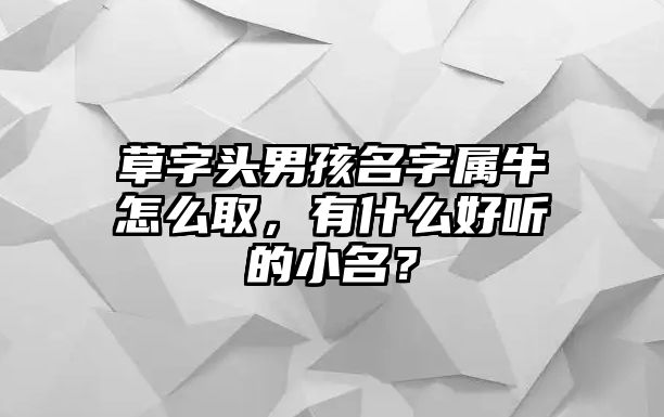 草字头男孩名字属牛怎么取，有什么好听的小名？